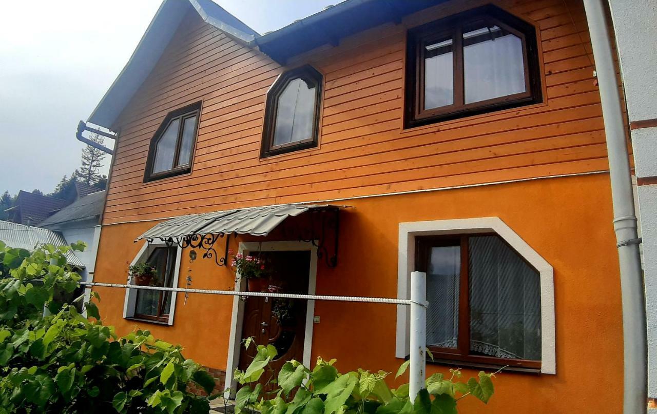 Guest House Karpaty Jaremcse Kültér fotó